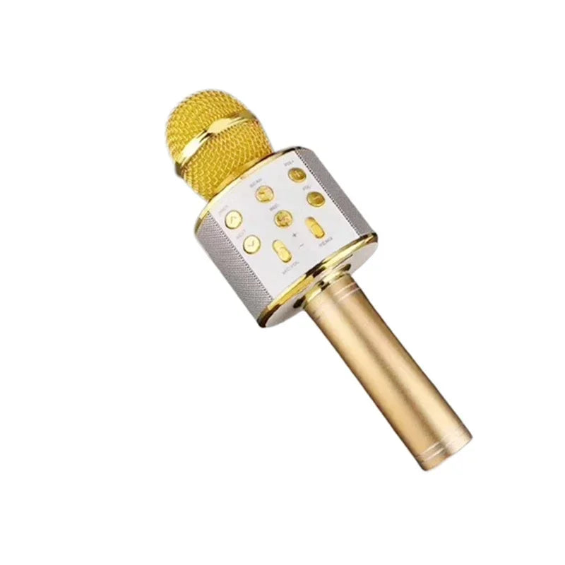 LED Karaoke Microphone for Kids