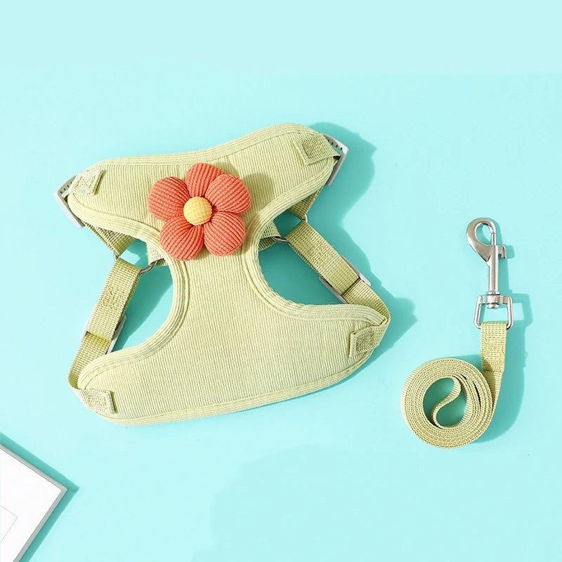"Outdoor Dog Harness and Lead Set