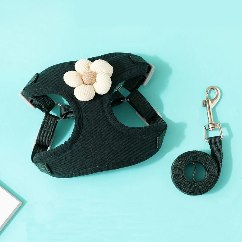 "Outdoor Dog Harness and Lead Set