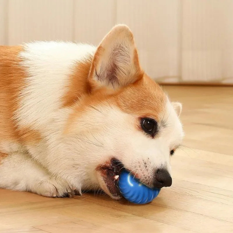 Automatic Rotating & Chew-Resistant Interactive Ball for Pets"