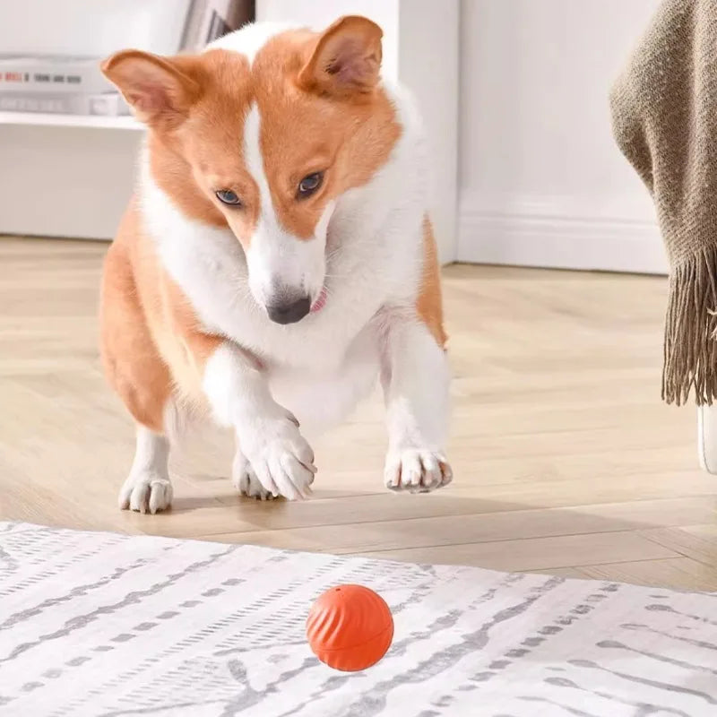 Automatic Rotating & Chew-Resistant Interactive Ball for Pets"