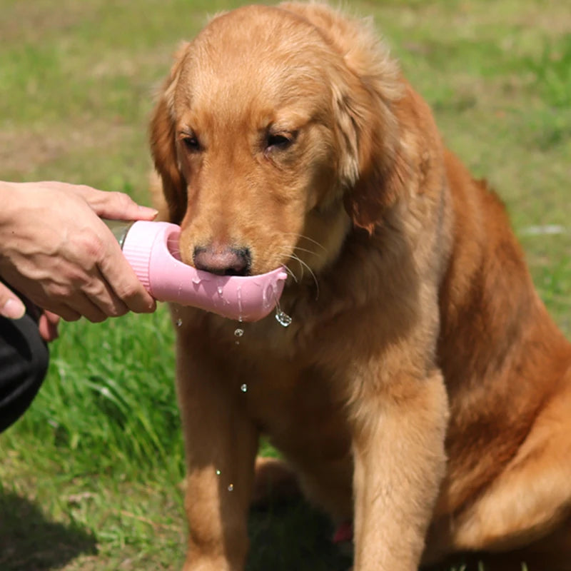 FurBaby Sip & Go Bottle