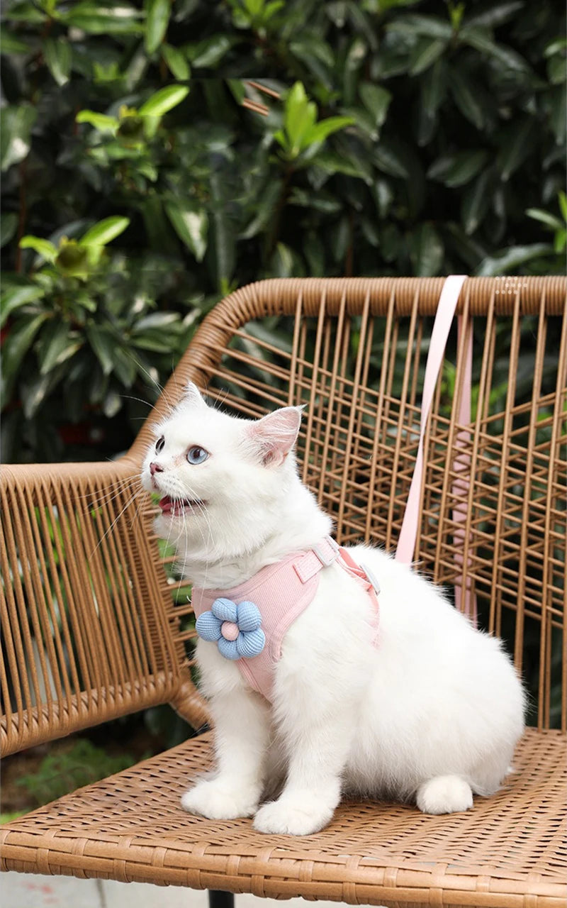 "Outdoor Dog Harness and Lead Set