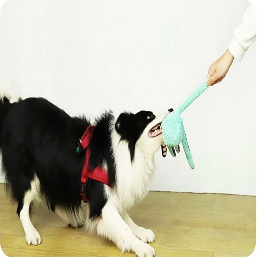 The Squeaky Squid