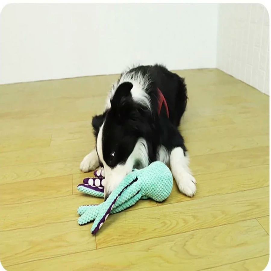 The Squeaky Squid