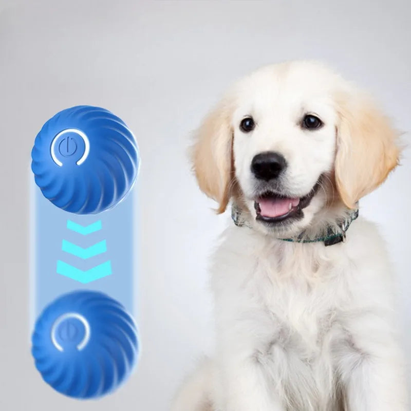 Automatic Rotating & Chew-Resistant Interactive Ball for Pets"