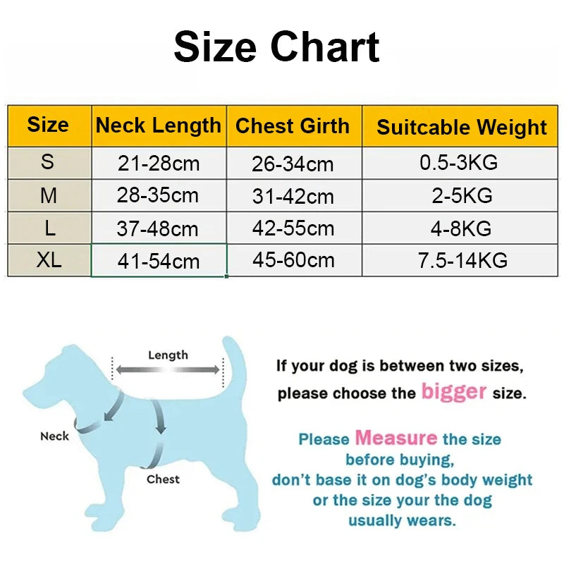 "Outdoor Dog Harness and Lead Set