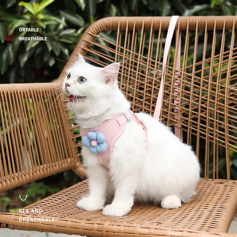 "Outdoor Dog Harness and Lead Set