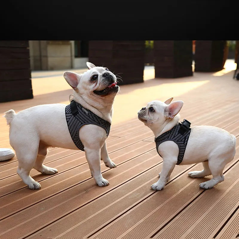 PETKIT Adjustable Breathable Dog Harness