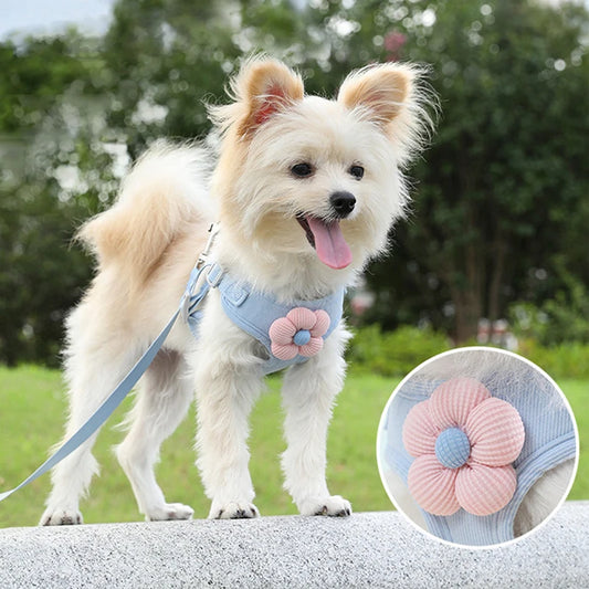 "Outdoor Dog Harness and Lead Set