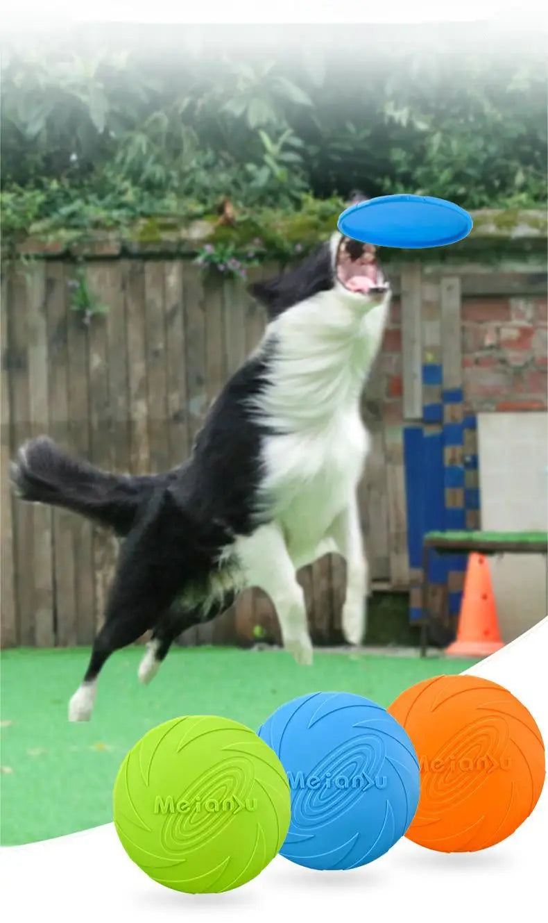 PawFlight Outdoor Dog Toy