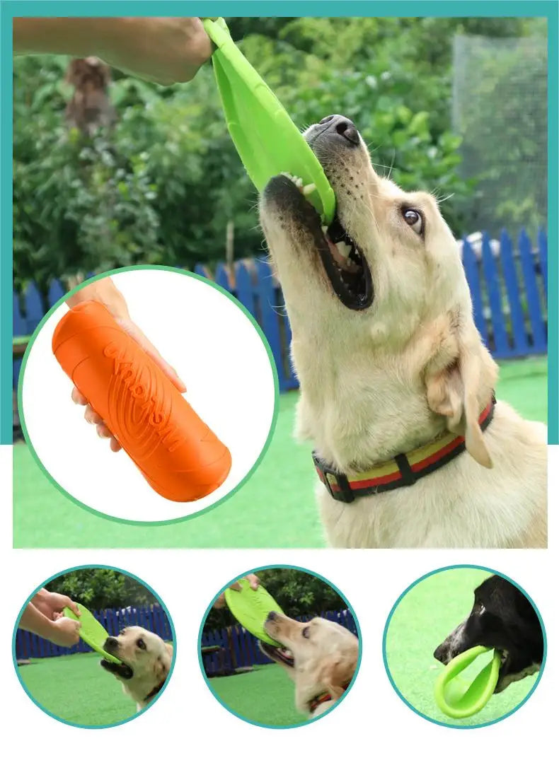 PawFlight Outdoor Dog Toy