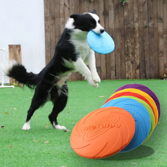 PawFlight Outdoor Dog Toy